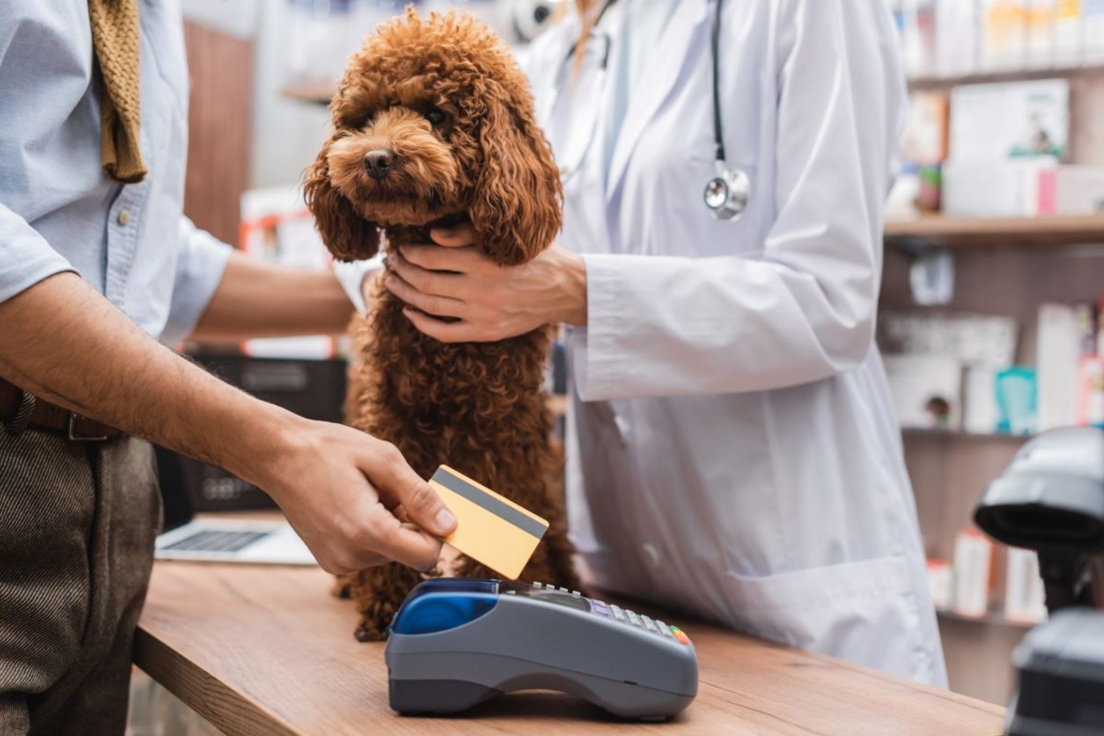 Un chien est assis chez le vétérinaire. Le maître paie par carte de crédit.